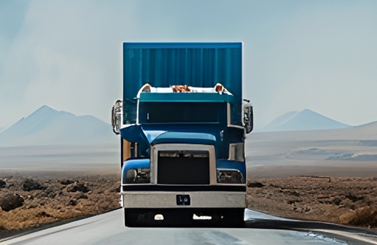 state-state-car-shipping